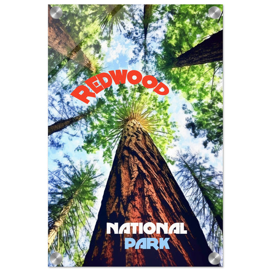 Redwood National Park Acrylic Print